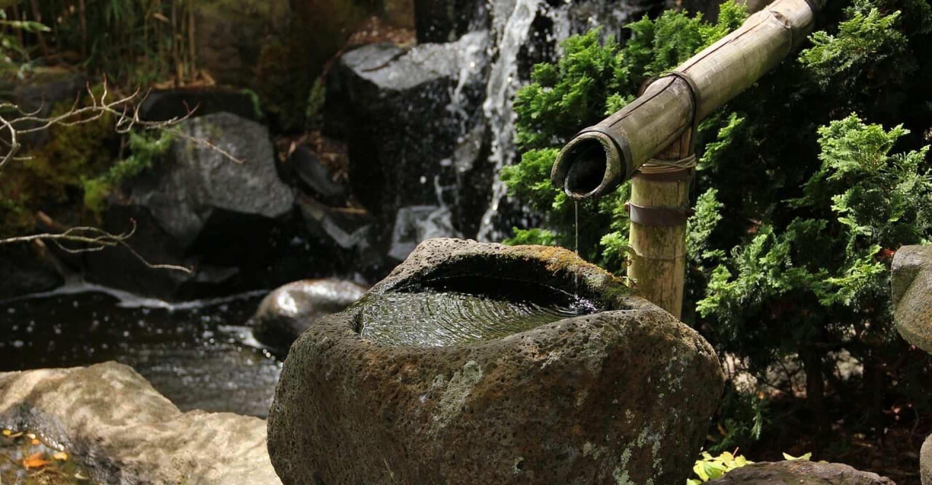 Water features for your yard