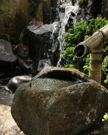 Water features for your yard