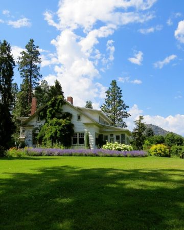 Summer lawn care basics