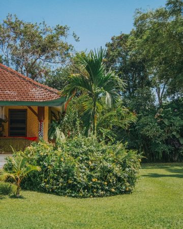 Front yard tropical landscaping ideas