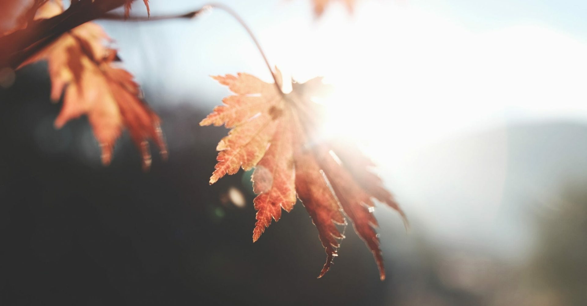 Why Fall Is the Perfect Time for a Pool Installation