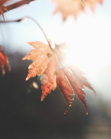 Why Fall Is the Perfect Time for a Pool Installation