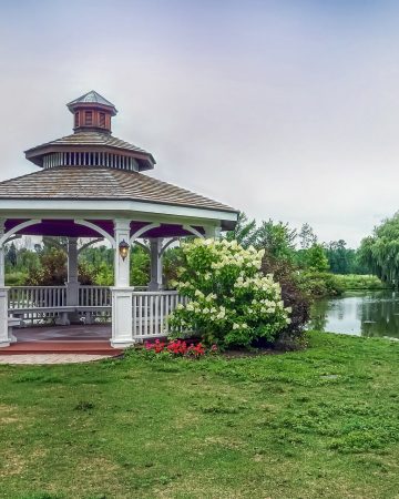 The Modern Pergola Designs and Plans