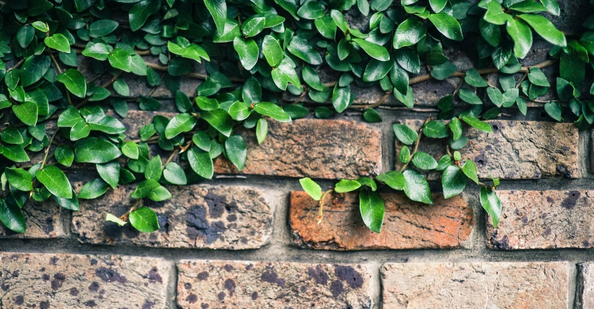 What’s a Retaining Wall and How to Build One