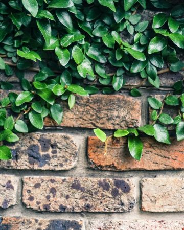 What’s a Retaining Wall and How to Build One