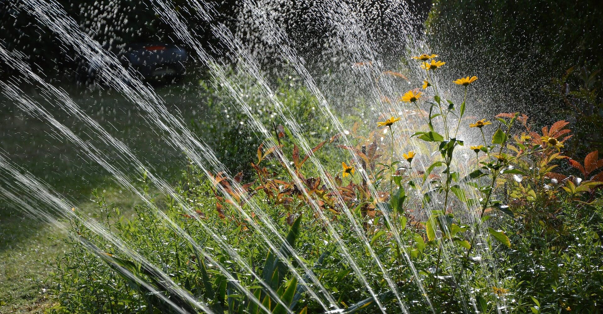 Landscape Watering Tips: Conserving Water For Beautiful Gardens