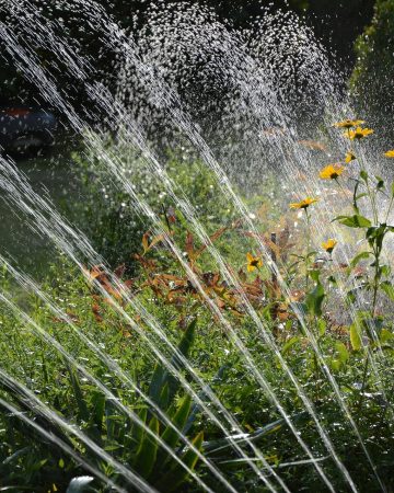 Landscape Watering Tips: Conserving Water For Beautiful Gardens