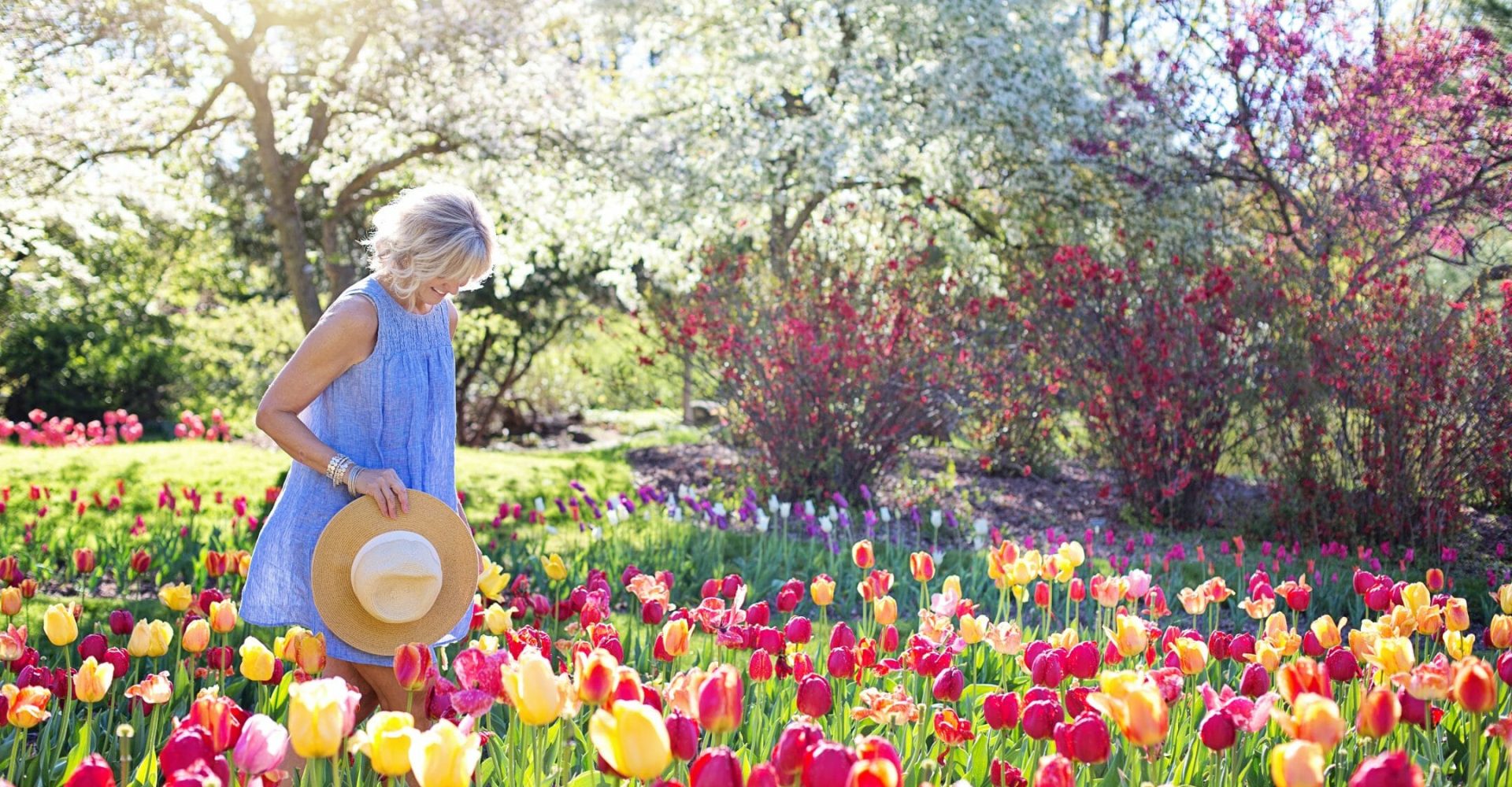 Why Plant Bedding Is The Next Big Thing