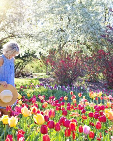 Why Plant Bedding Is The Next Big Thing