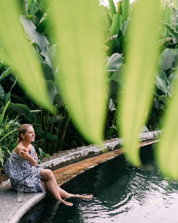 Plants That Are Good Around Pools