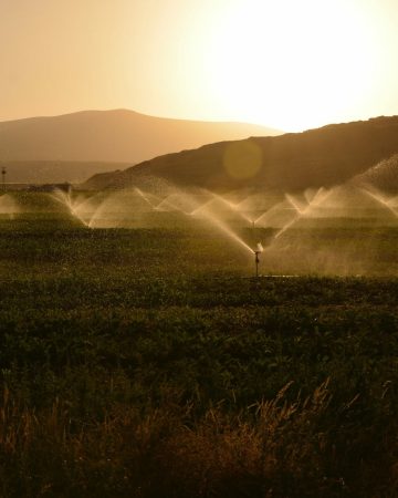What Is Landscape Irrigation?