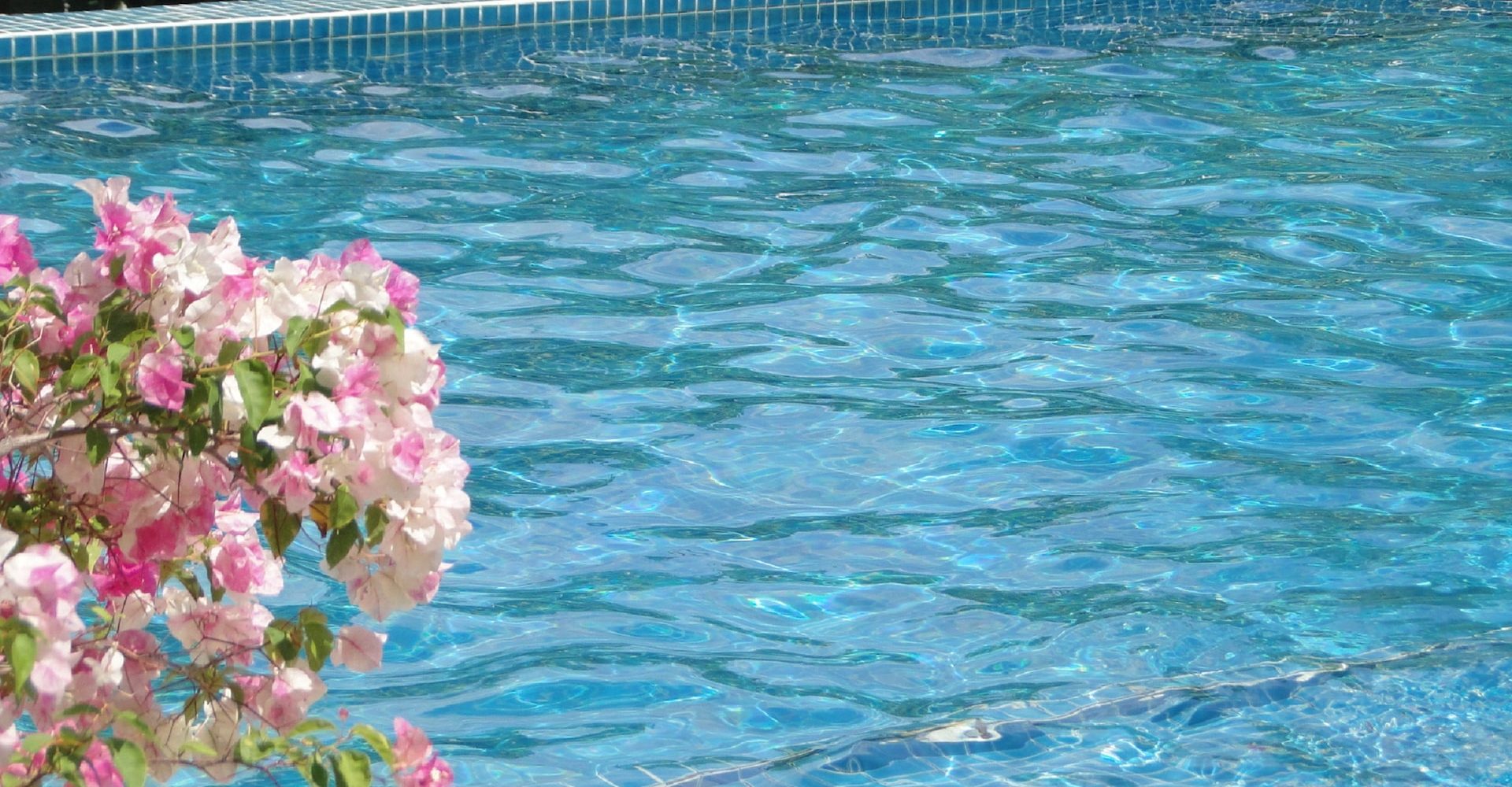 What Are the Cheapest Inground Pools to Install?