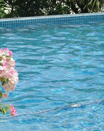 What Are the Cheapest Inground Pools to Install?