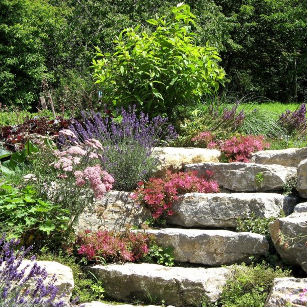 property landscaping
