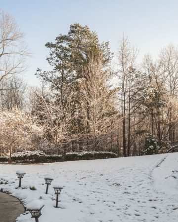 Lawn Care Tips for Cold Weather Survival