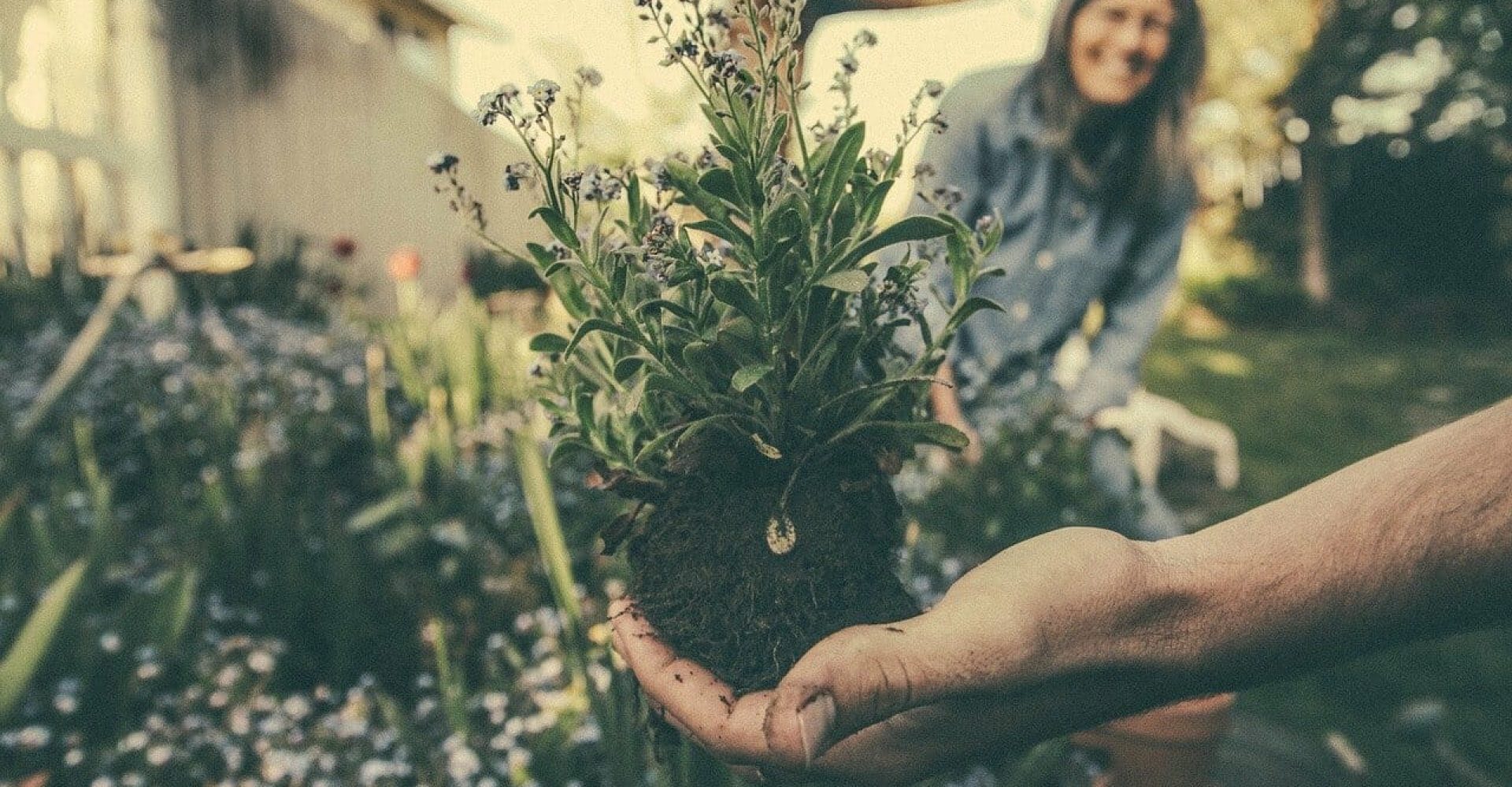 Benefits of Gardening for Your Mental Health
