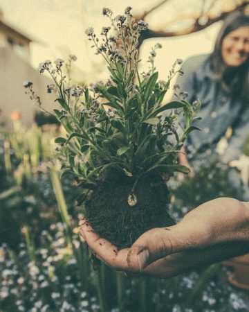Benefits of Gardening for Your Mental Health