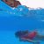 Infinity Pools: Are They Worth the Investment for Your Backyard?