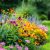 Gardening with Perennials: Low-Maintenance Plants for Lasting Beauty