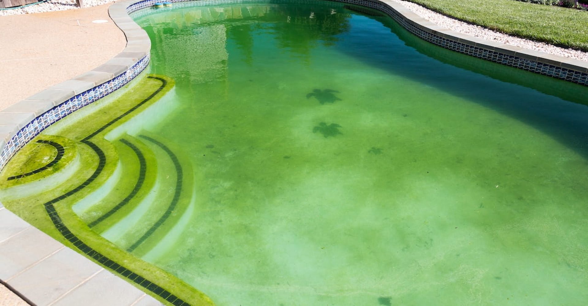 Signs Your Pool Needs a Deep Clean and How to Do It Without Guessing