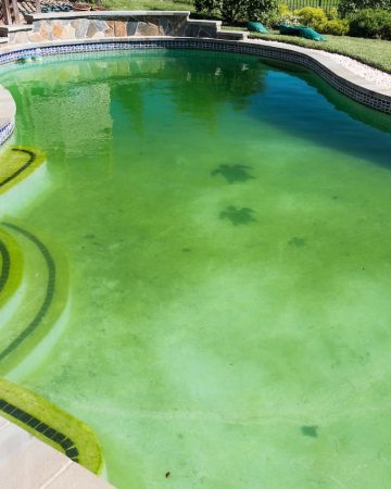 Signs Your Pool Needs a Deep Clean and How to Do It Without Guessing
