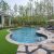 The Best Trees to Plant Near Pools Without Risking Damage